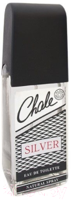 Туалетная вода Positive Parfum Chale Silver (100мл)