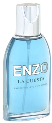 Туалетная вода Positive Parfum Enzo La Cuesta (95мл)