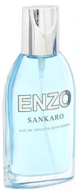 Туалетная вода Positive Parfum Enzo Sankaro (95мл)
