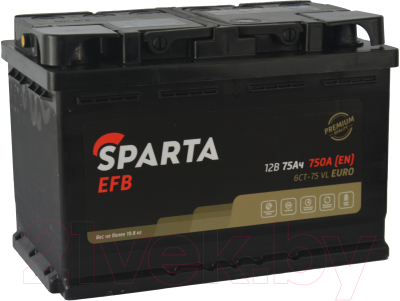 Автомобильный аккумулятор SPARTA EFB 6СТ-75 Евро 750A (75 А/ч)