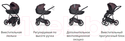 Детская универсальная коляска Riko Basic Pacco 3 в 1 (04/темно-серый/черный)