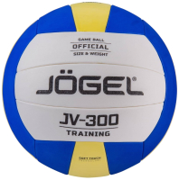 Мяч волейбольный Jogel BC21 / JV-300 - 