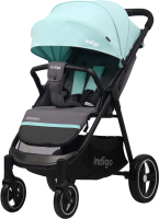 

Детская прогулочная коляска INDIGO, Assana