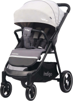 

Детская прогулочная коляска INDIGO, Assana