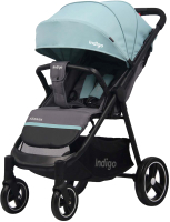 

Детская прогулочная коляска INDIGO, Assana