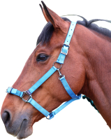 

Недоуздок для лошади Shires, PRO регулируемый COB / 410/BLUE/COB