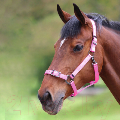 Недоуздок для лошади Shires PRO регулируемый COB / 410/PINK/COB (розовый)