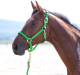 Миниатюра изображения товара Недоуздок для лошади Shires Topaz FULL / 387/GREEN/FULL (зеленый)