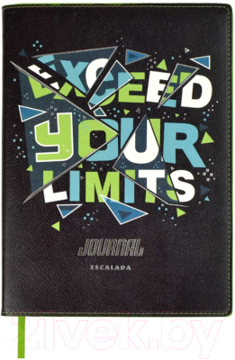 

Записная книжка Феникс+, Слоган / 52807