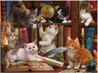 

Набор алмазной вышивки РЫЖИЙ КОТ, Игривые котята в библиотеке / AS4029