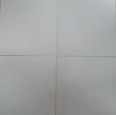 Плитка Euro-Ceramics Моноколор 10GCR 0008 (600x600, серый)
