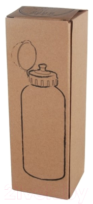 Бутылка для воды Easy Gifts Charlotte / 571007 (серебристый)
