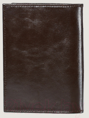 Обложка на паспорт Galanteya 39817 / 0с1340к45 (коричневый)