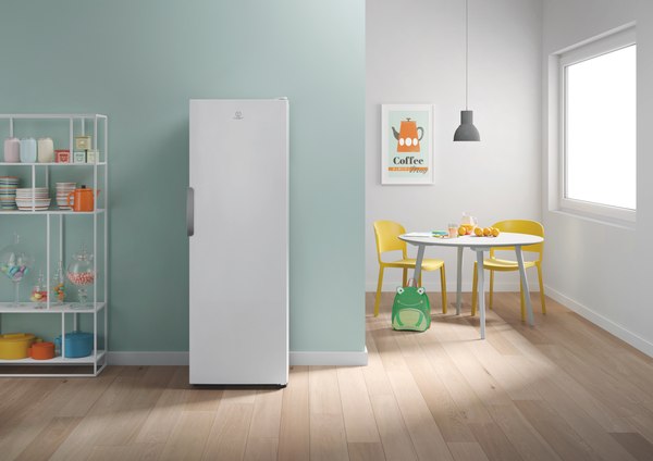 Купить Морозильник Indesit DFZ 5175 в Минске