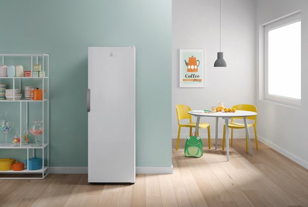 Купить Морозильник Indesit DFZ 5175 в Минске