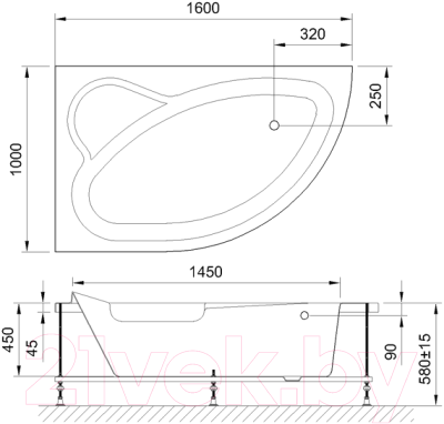 Ванна акриловая Royal Bath Alpine 160x100x58L / RB819101