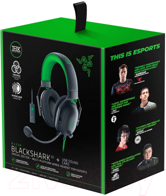 Наушники-гарнитура Razer BlackShark V2 / RZ04-03230200-R3M1