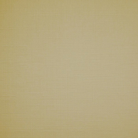 Рулонная штора Jalux Лен 881 45x160 (капучино) - 