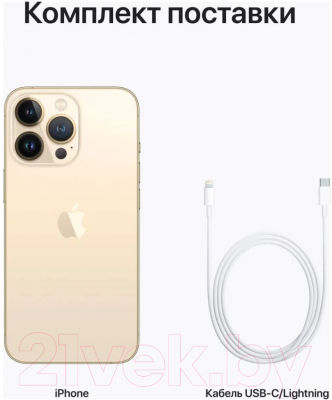 Смартфон Apple iPhone 13 Pro 1TB / MLWG3 (золотой)