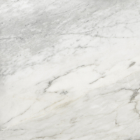 Плитка Грани Таганая Ellora Ashy GRS01-18 (600x600, мрамор бело-серый) - 