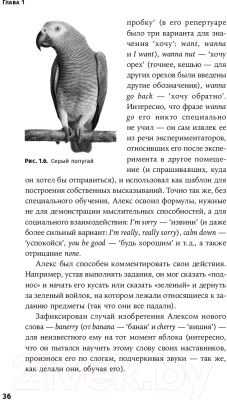 Изображение товара Книга Альпина Происхождение языка (Бурлак С.)