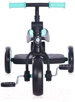 Трехколесный велосипед Lorelli Buzz Black Turquoise Foldable / 10050600009