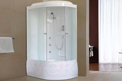 Душевая кабина Royal Bath 1200x800x2170 L / RB8120BK2-M-L