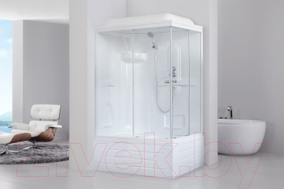 Душевая кабина Royal Bath 1200x800x2170 L / RB8120BP1-T-L