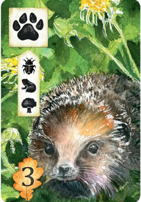 Изображение товара Настольная игра Мир Хобби Поляна / 915411