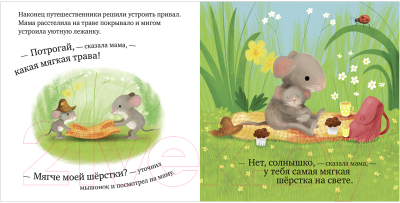 Книга CLEVER Самый лучший мышонок на свете (Райдер К.)