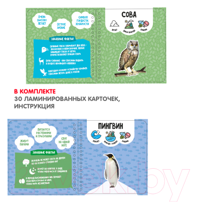 Развивающая книга Bondibon Изучаем плавающих и летающих животных / ВВ5244