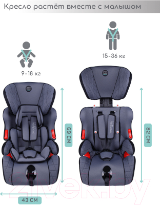 Автокресло Amarobaby Big Trip / AB212006BTSCh/11 (серый/черный)