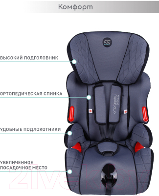 Автокресло Amarobaby Big Trip / AB212006BTSCh/11 (серый/черный)