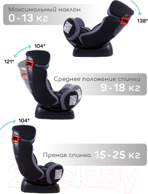 Автокресло Amarobaby Professional / AB212005PSCh/11 (серый/черный)