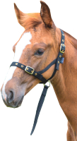 

Недоуздок для лошади Shires, 379B/BLACK