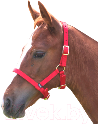 Недоуздок для лошади Shires 381/RED (красный)