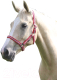 Недоуздок для лошади Shires Wessex FULL / 363/RED/SIL/FULL (красный/серый) - 