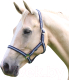 Недоуздок для лошади Shires Wessex FULL / 363/NVY/SIL/FULL (синий/серый) - 