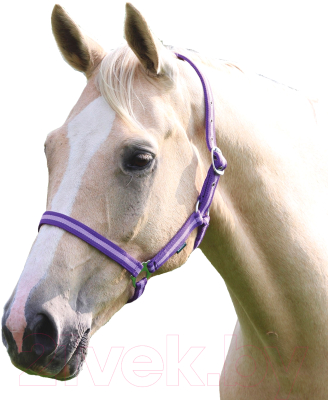 Недоуздок для лошади Shires Wessex FULL / 363/PUR/LIL/FULL (фиолетовый/лиловый)