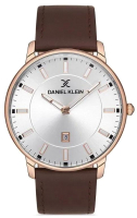 Часы наручные мужские Daniel Klein 12851-5 - 