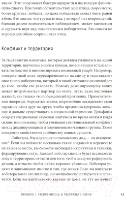 Книга Питер 12 правил жизни: противоядие от хаоса (Питерсон Д.)