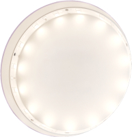 

Светодиодная лента, Led Strip 12В / 10106