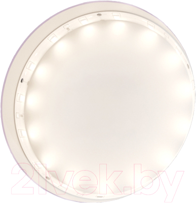 Изображение товара Светодиодная лента Maytoni Led Strip 12В / 10106 (белый)