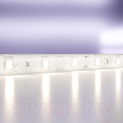 Изображение товара Светодиодная лента Maytoni Led Strip 12В / 10106 (белый)