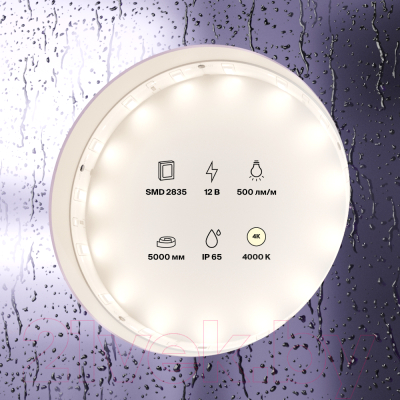 Изображение товара Светодиодная лента Maytoni Led Strip 12В / 10106 (белый)