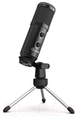 Микрофон Lorgar LRG-CMT313 (черный)