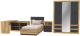 Комплект мебели для спальни Интерлиния Loft-3 Спальня-3 (дуб золотой/антрацит) - 