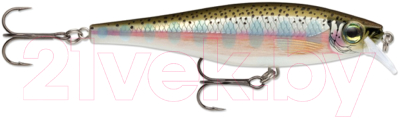 Воблер Rapala BX Minnow / BXM10-RT