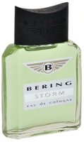Одеколон Positive Parfum Bering Storm (95мл) - 