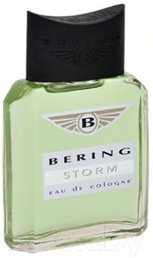 Одеколон Positive Parfum Bering Storm (95мл)